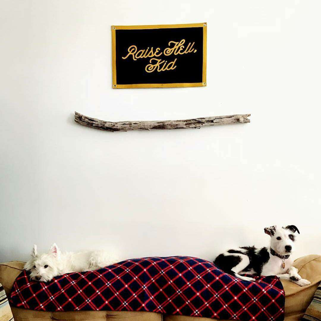 Camp Flag: Raise Hell, Kid!