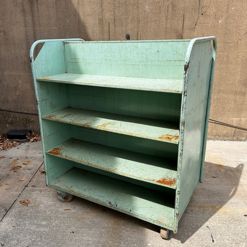 Industrial Workshop Shelves (rolling)