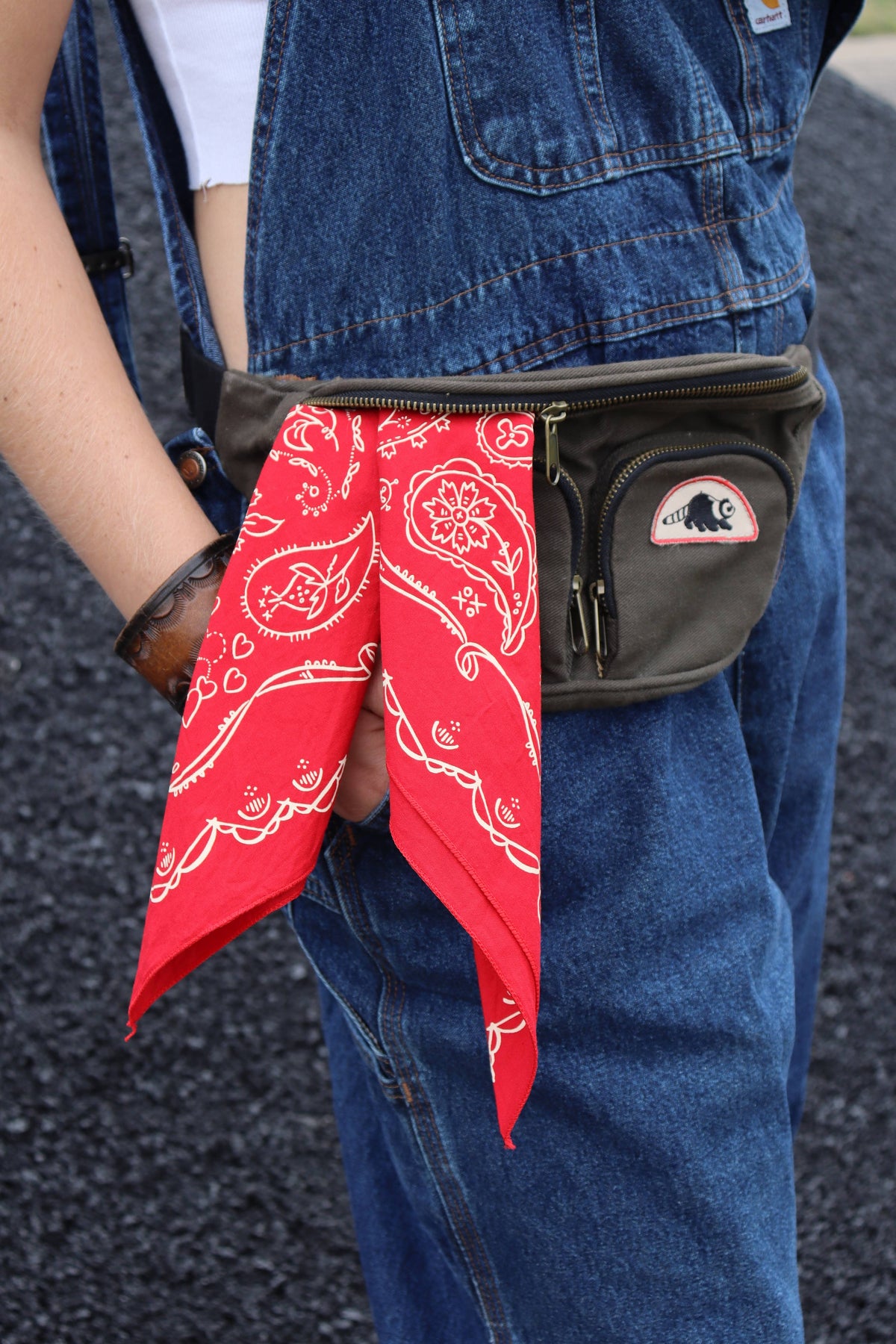 Dixon Red Paisley Western Bandana (22-Inch / Cotton)