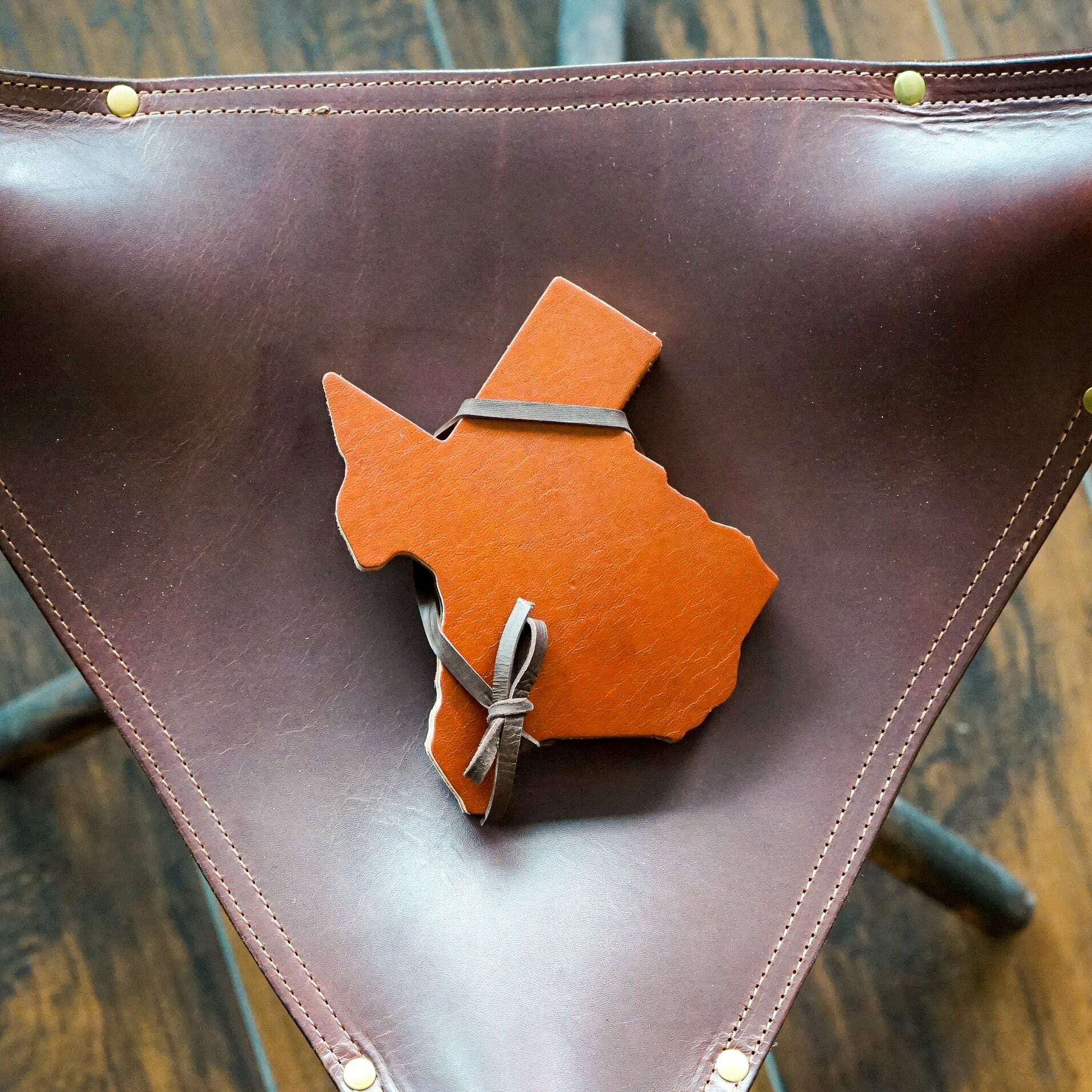 Texas Shaped Coasters (Set of 4)