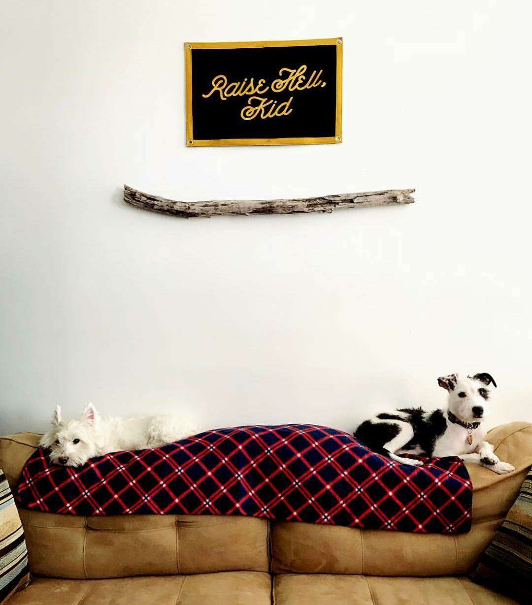 Camp Flag: Raise Hell, Kid!